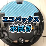 エコバックス水拭き